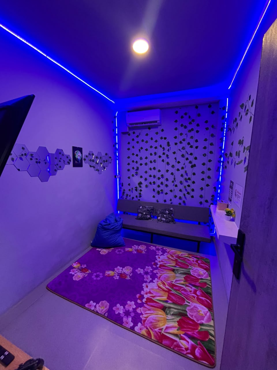 VIP 1